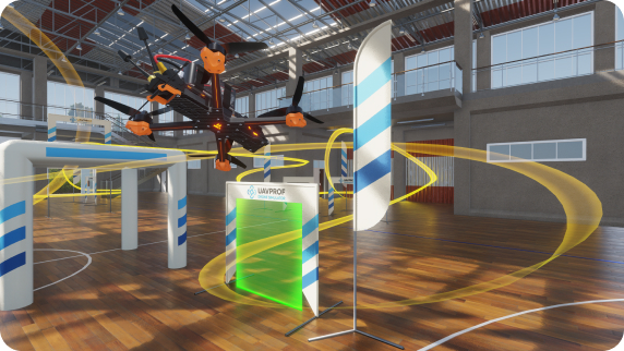Nose Dive Gym