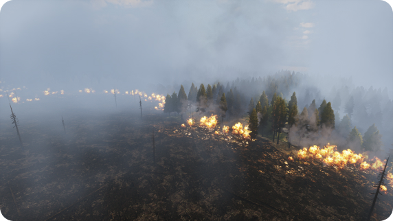Burning Forest